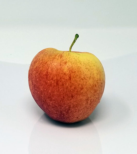 Whole Apple - Gala – Catertots4Home